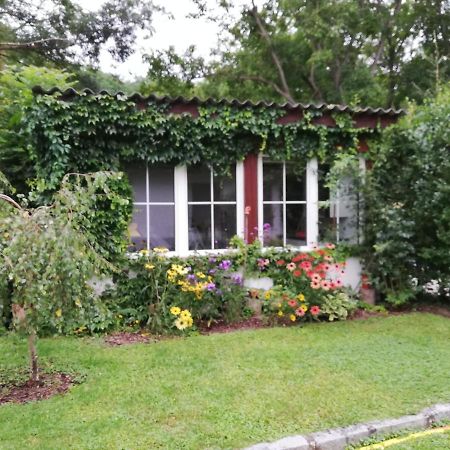 Ferienhaeuschen Gruber Villa Loosdorf Bagian luar foto