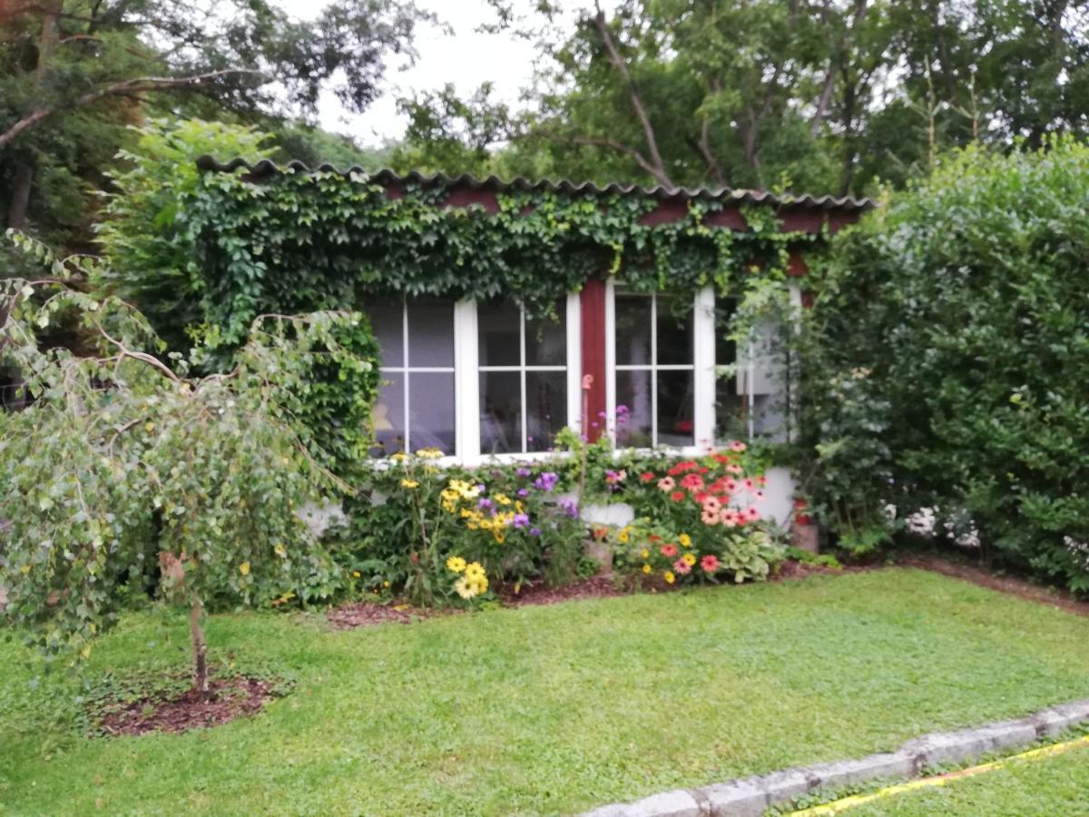Ferienhaeuschen Gruber Villa Loosdorf Bagian luar foto