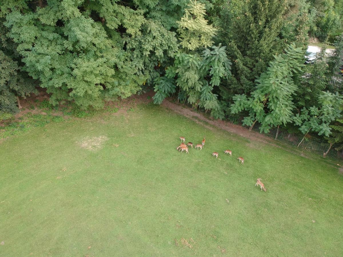 Ferienhaeuschen Gruber Villa Loosdorf Bagian luar foto